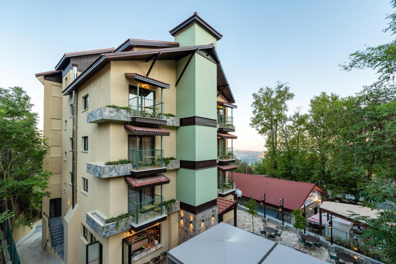 Petit Palais Platres Boutique Hotel Exterior photo