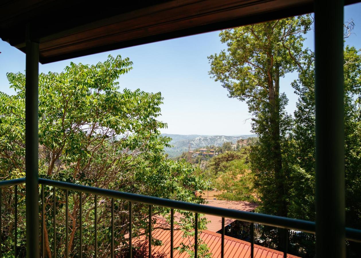 Petit Palais Platres Boutique Hotel Exterior photo